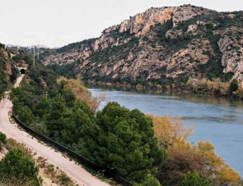 2022: L’any en el que l’economia local es pot revitalitzar