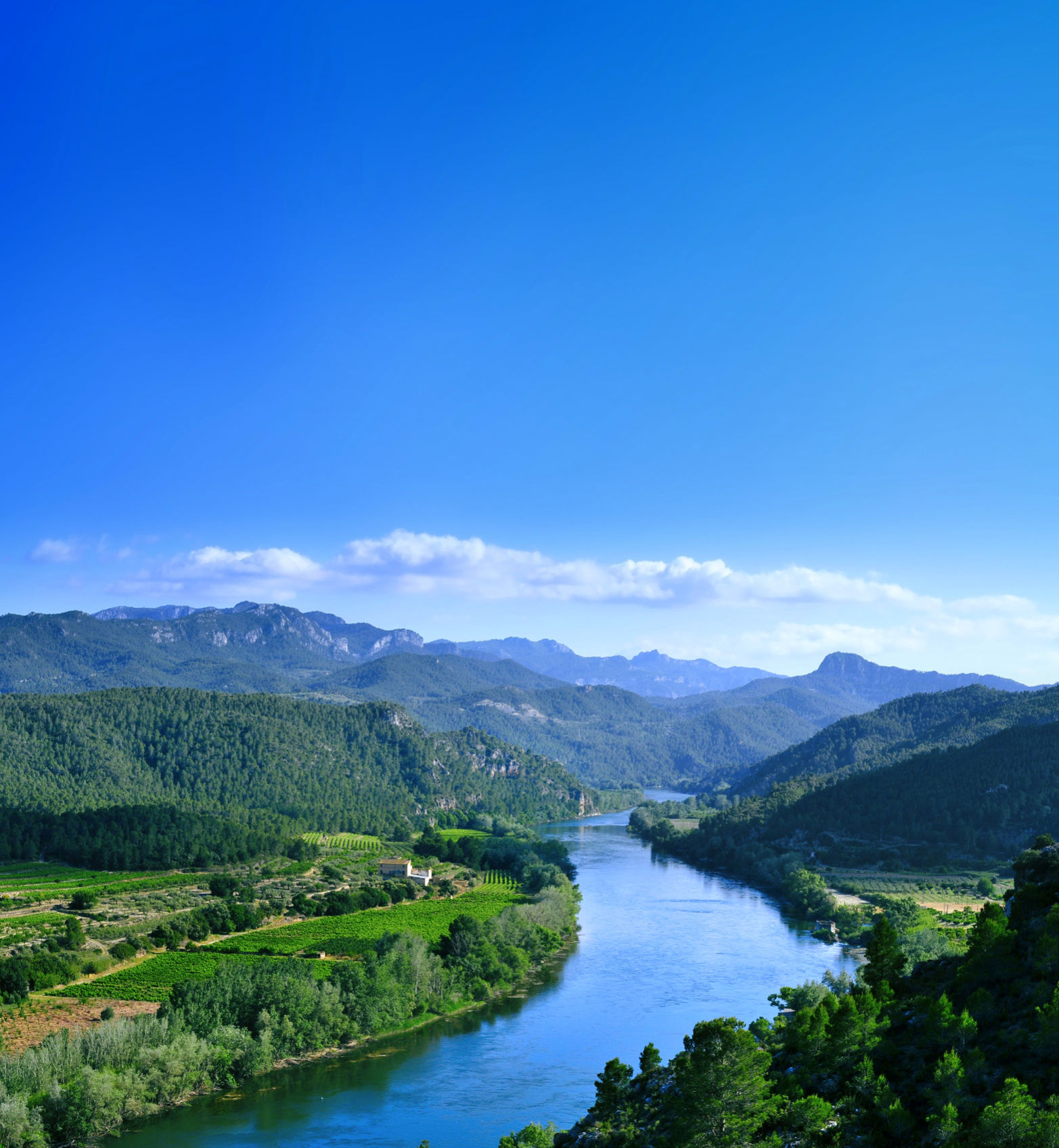 la-via-blava-de-lebre